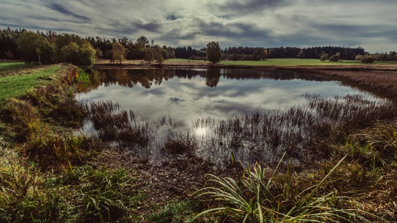 Mystische Stimmung an den Weiherwiesen, &copy; Tourismus Ostalb, Fotograf: Christian Frumolt