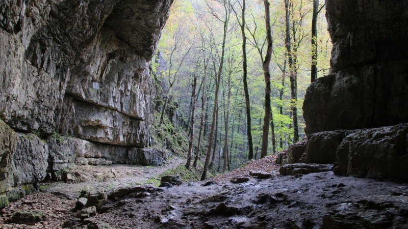Blick aus einer Höhle auf einen herbstlichen Wald. Die Felsen der Höhle sind rau und der Boden ist uneben. Bäume mit buntem Laub sind sichtbar.