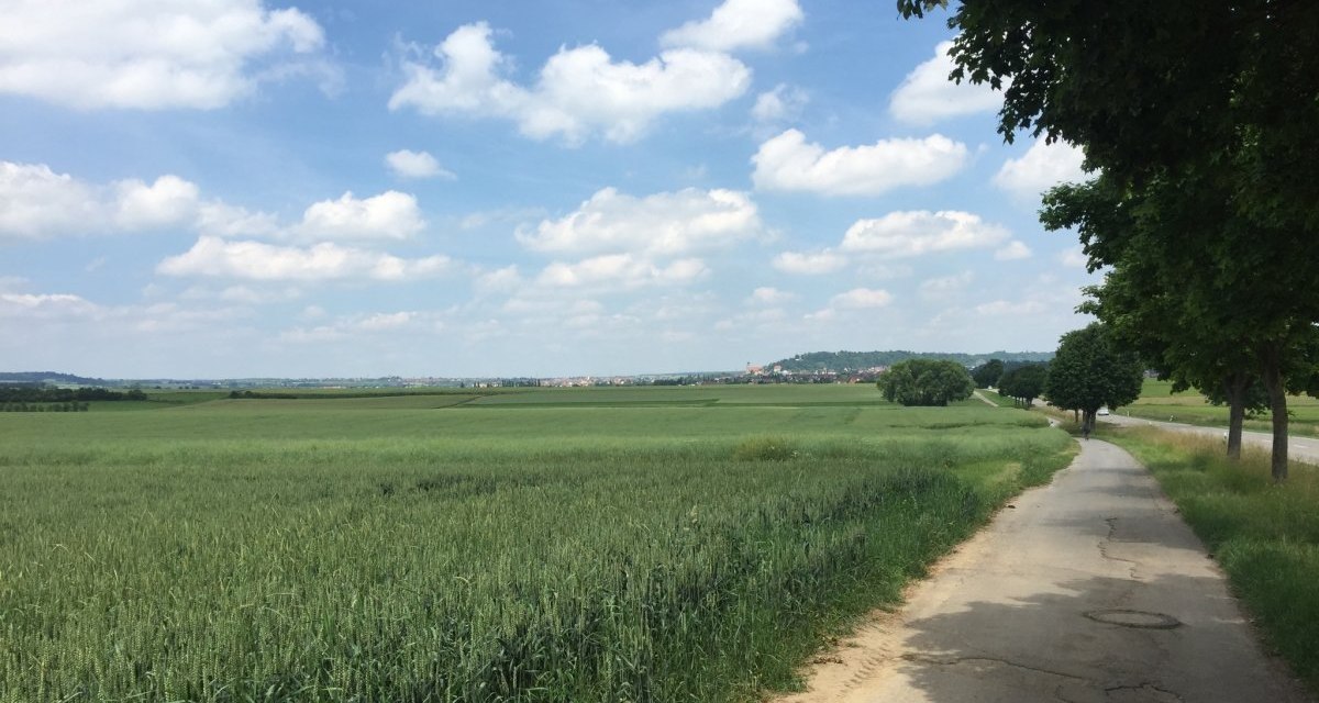 Ein schmaler Weg f&uuml;hrt durch gr&uuml;ne Felder in Richtung eines Dorfes am Horizont. Der Himmel ist blau mit wei&szlig;en Wolken., &copy; www.pro-cycl.de