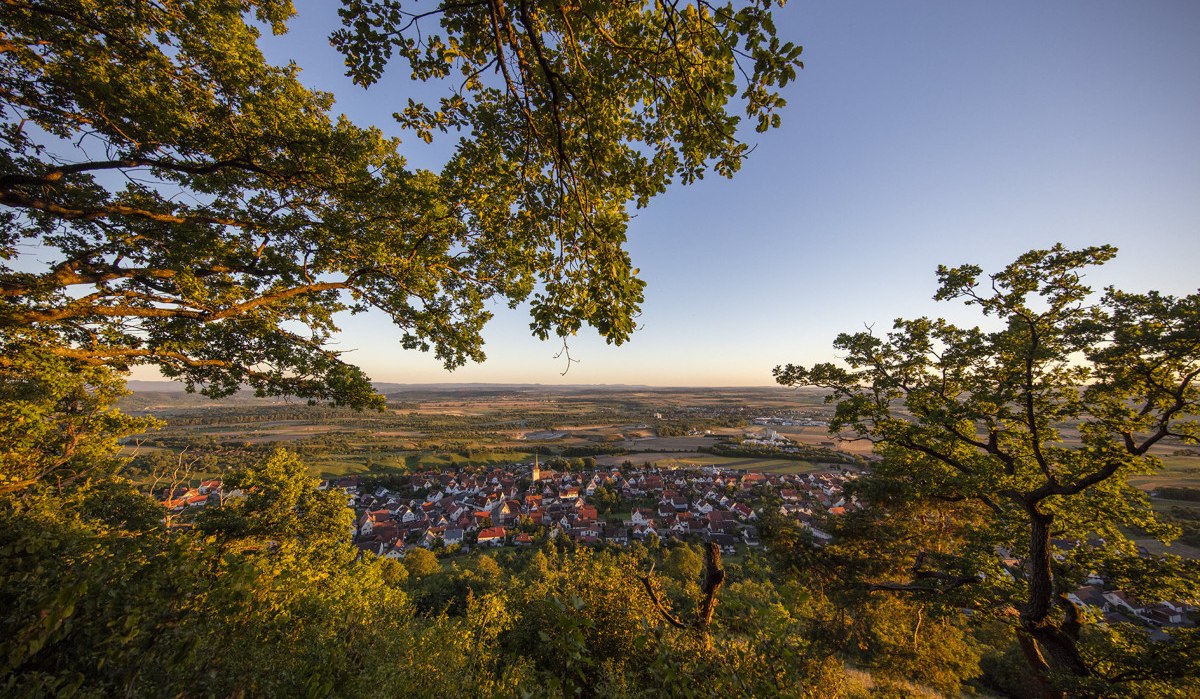 Panoramablick vom Grafenberg auf Herrenberg, eingerahmt von Bäumen, mit weitem Horizont und klarer Sicht auf die Stadt im Abendlicht. Panoramablick vom Grafenberg auf Herrenberg, eingerahmt von Bäumen, mit weitem Horizont und klarer Sicht auf die Stadt im Abendlicht.
