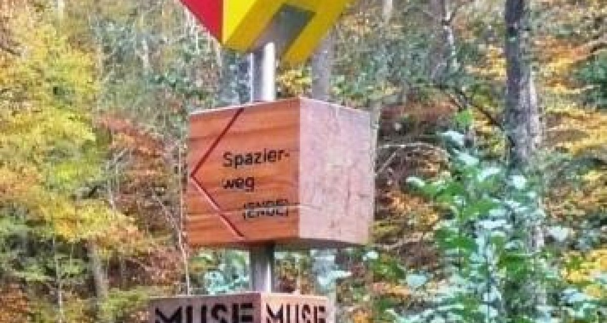 Ein Wegweiser im Wald zeigt den 'Spazierweg' und 'Museum Ritter' an. Bunte Herbstblätter im Hintergrund., © Natur.Nah. Schönbuch & Heckengäu
