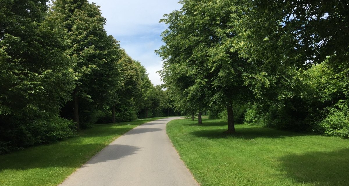 Ein asphaltierter Weg schl&auml;ngelt sich durch eine gr&uuml;ne Landschaft, ges&auml;umt von &uuml;ppigen B&auml;umen und gepflegtem Rasen unter einem blauen Himmel., &copy; www.pro-cycl.de