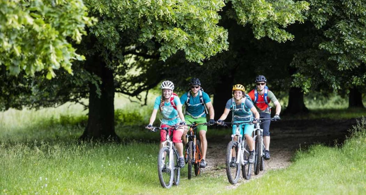 Vier Radfahrer fahren auf einem Waldweg durch eine grüne, bewaldete Landschaft. Sie tragen Helme und sportliche Kleidung., © Schwäbische Alb Tourismusverband e.V. Vier Radfahrer fahren auf einem Waldweg durch eine grüne, bewaldete Landschaft. Sie tragen Helme und sportliche Kleidung., © Schwäbische Alb Tourismusverband e.V.