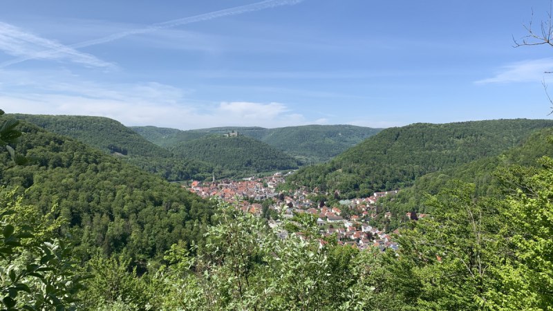 Panoramablick auf Bad Urach, umgeben von grünen Hügeln und Wäldern unter einem klaren blauen Himmel., © Bad Urach Tourismus
