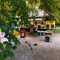 Ein gelber Kiosk im Wald, umgeben von Bäumen. Ein Mann steht davor, Schilder mit Angeboten sind sichtbar. Der Boden ist mit Kies bedeckt.