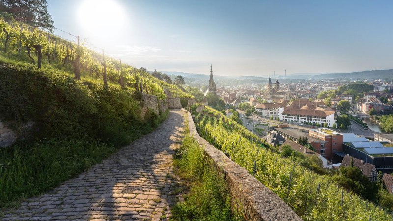 Blick aus den Weinbergen in die Stadt fr&uuml;hmorgens, &copy; Jean-Claude Winkler
