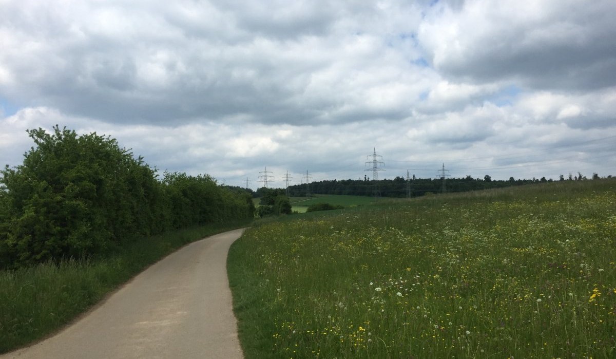 Ein asphaltierter Radweg schl&auml;ngelt sich durch eine gr&uuml;ne Wiese, flankiert von B&uuml;schen und Strommasten, unter einem bew&ouml;lkten Himmel., &copy; Natur.Nah. Sch&ouml;nbuch & Heckeng&auml;u