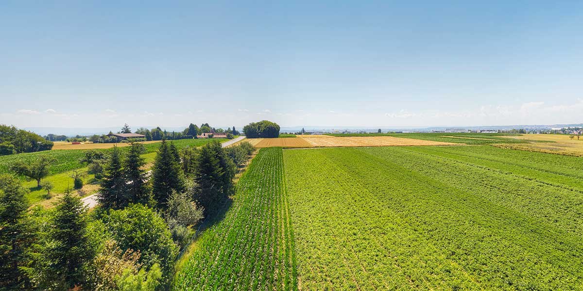 Weite Landschaft mit grünen Feldern, Bäumen und einem klaren blauen Himmel. Im Hintergrund sind Gebäude und Hügel zu sehen., © Kemnater Hof GmbH