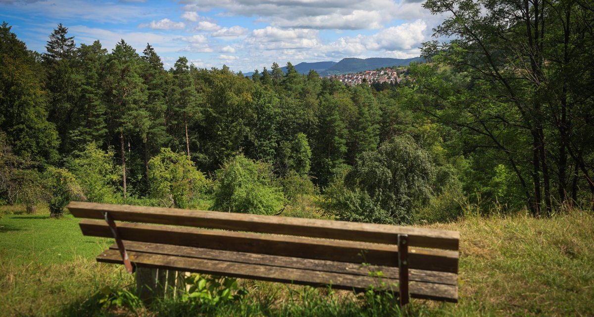 Holzbank auf Wiese, Blick auf dichten Wald und entfernte Stadt, bewölkter Himmel. Holzbank auf Wiese, Blick auf dichten Wald und entfernte Stadt, bewölkter Himmel.