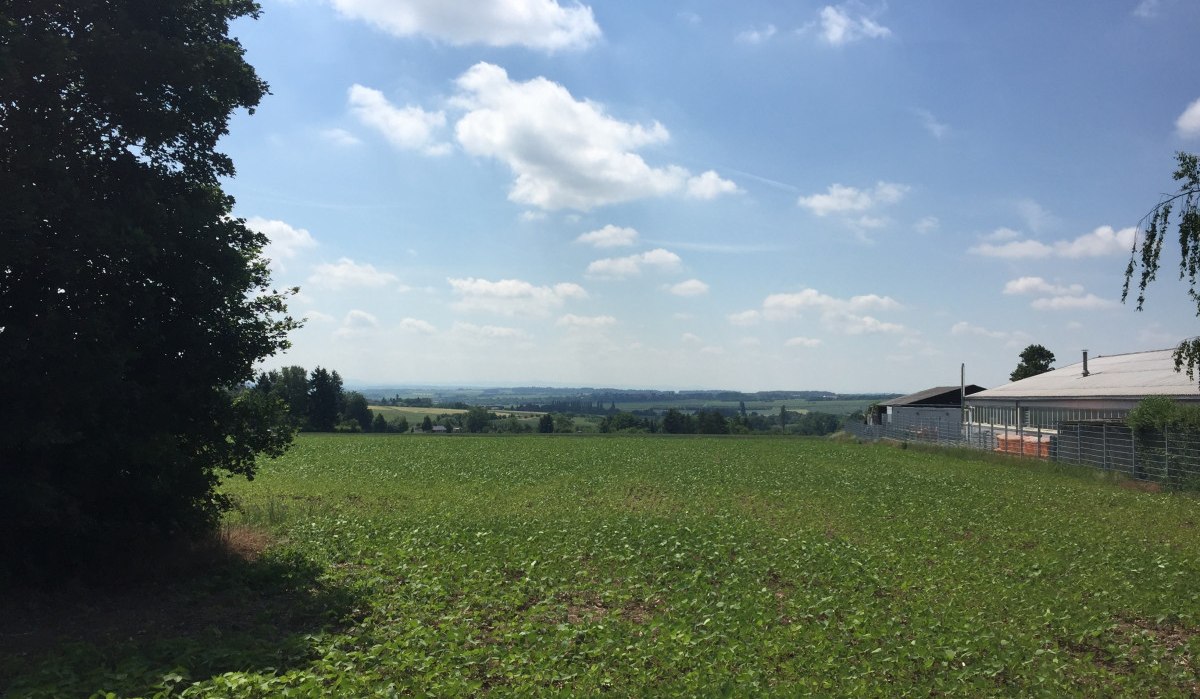 Weites Feld mit grünem Bewuchs, links ein großer Baum, rechts Gebäude. Im Hintergrund sanfte Hügel unter blauem Himmel mit Wolken., © www.pro-cycl.de