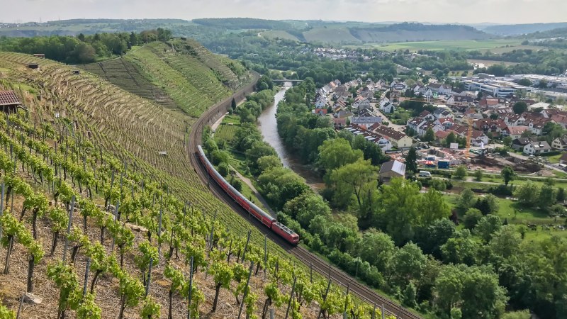 Weinberge in Besigheim, © Antje Seeling