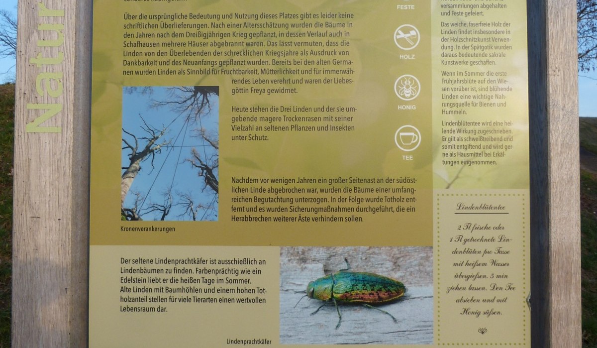 Info-Tafel 'Drei Linden' mit Text und Bildern über Winterlinden, ihre Geschichte und Bedeutung. Enthält Infos zu Festen, Holz, Honig und Tee., © Natur.Nah. Schönbuch & Heckengäu