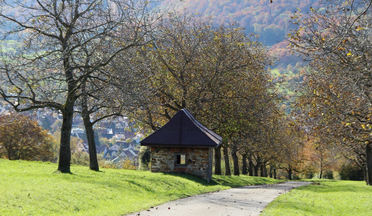 Kleines Steinhäuschen mit spitzem Dach an einem Weg, umgeben von Bäumen und grüner Wiese, Dorf im Hintergrund sichtbar.
