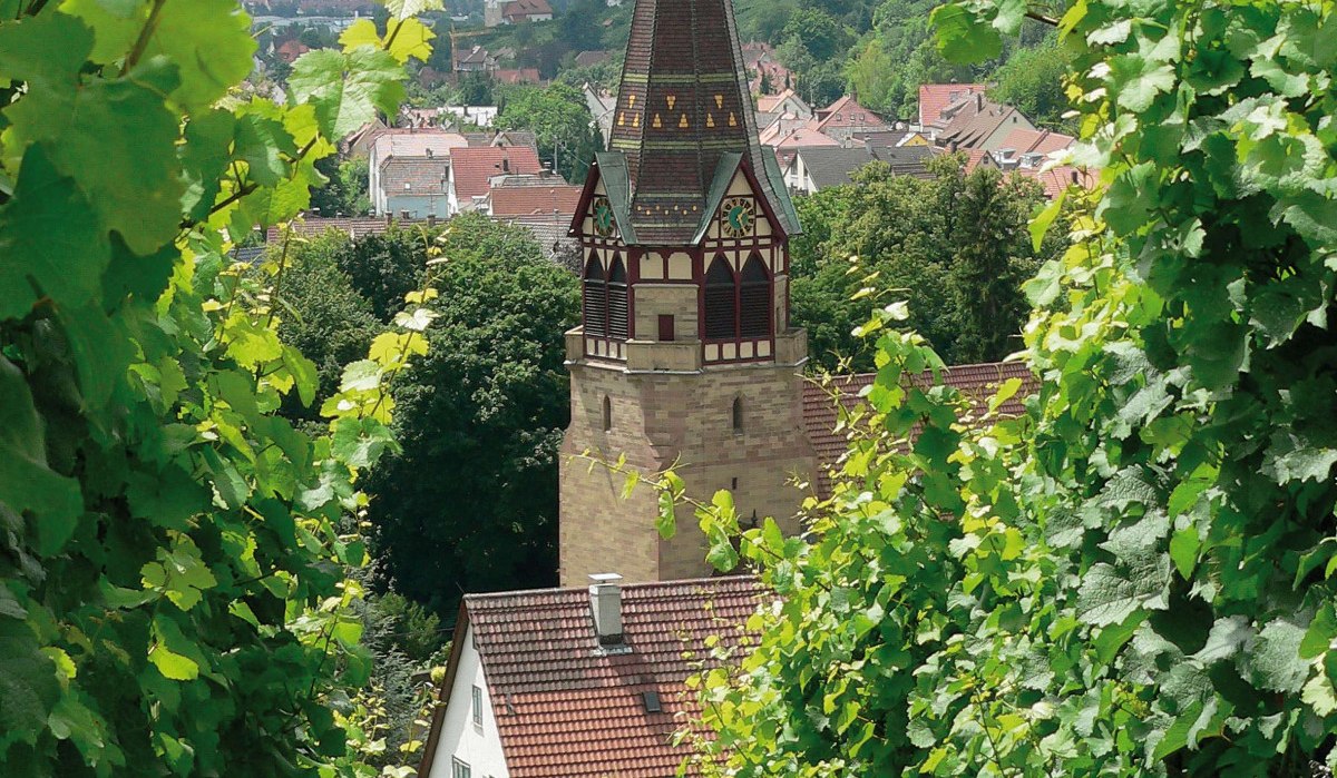Die Pfarrkirche St. Andreas in Uhlbach ragt zwischen grünen Weinreben hervor, mit Hügeln und Häusern im Hintergrund., © Stuttgart-Marketing GmbH Die Pfarrkirche St. Andreas in Uhlbach ragt zwischen grünen Weinreben hervor, mit Hügeln und Häusern im Hintergrund., © Stuttgart-Marketing GmbH
