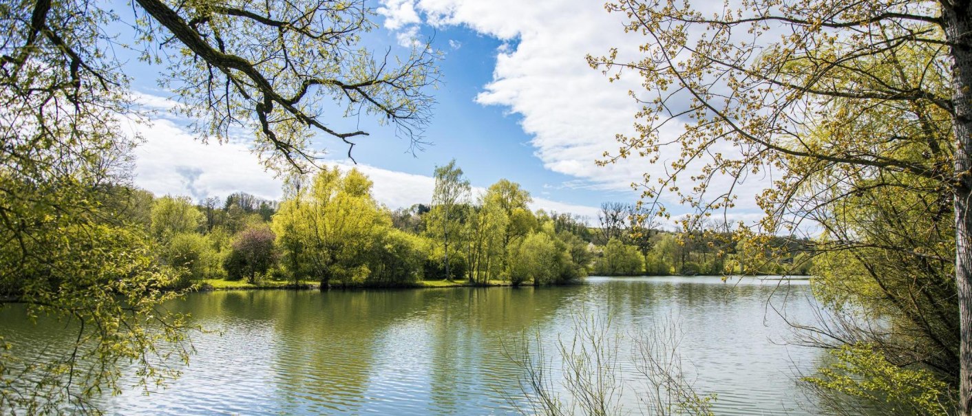 Ein idyllischer See umgeben von grünen Bäumen unter einem blauen Himmel mit Wolken., © SMG, Sarah Schmid Ein idyllischer See umgeben von grünen Bäumen unter einem blauen Himmel mit Wolken., © SMG, Sarah Schmid