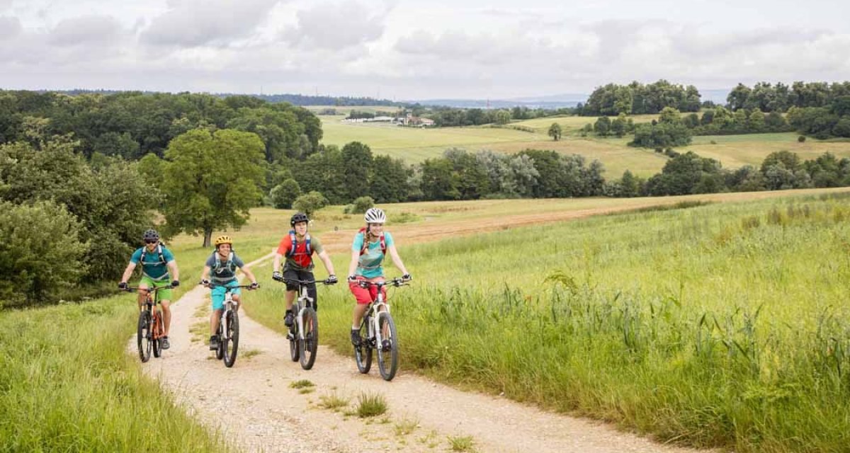 Vier Radfahrer fahren auf einem Feldweg durch die hügelige Landschaft des Schurwaldes, umgeben von grünen Wiesen und Wäldern., © Schwäbische Alb Tourismusverband e.V. Vier Radfahrer fahren auf einem Feldweg durch die hügelige Landschaft des Schurwaldes, umgeben von grünen Wiesen und Wäldern., © Schwäbische Alb Tourismusverband e.V.