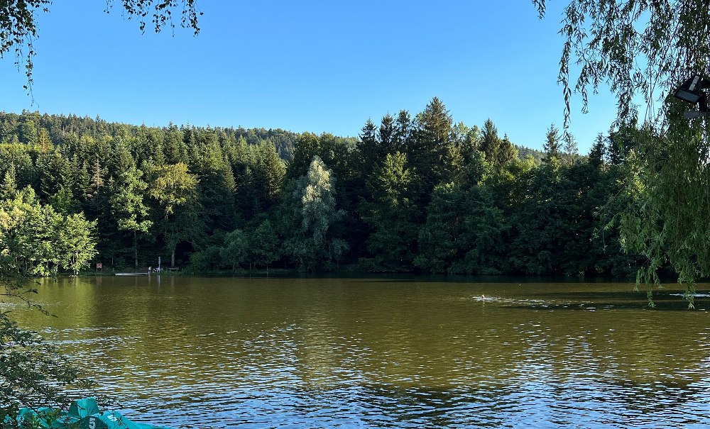 Grüne Tretboote liegen am Ufer eines ruhigen Sees, umgeben von dichtem Wald und klarem, blauem Himmel., © Ulrike Pfizenmaier Grüne Tretboote liegen am Ufer eines ruhigen Sees, umgeben von dichtem Wald und klarem, blauem Himmel., © Ulrike Pfizenmaier