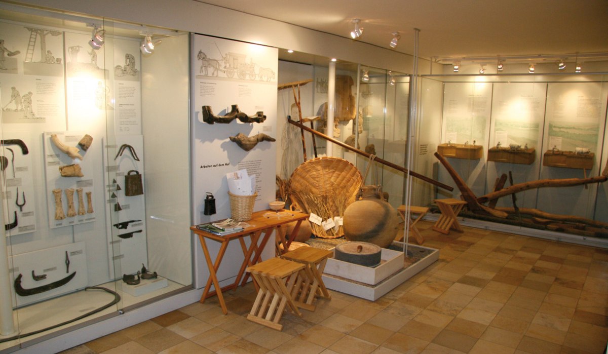 Ausstellung im Römerkeller Oberriexingen mit römischen Werkzeugen, Artefakten und Schautafeln in einem hell beleuchteten Raum., © Land der 1000 Hügel - Kraichgau-Stromberg