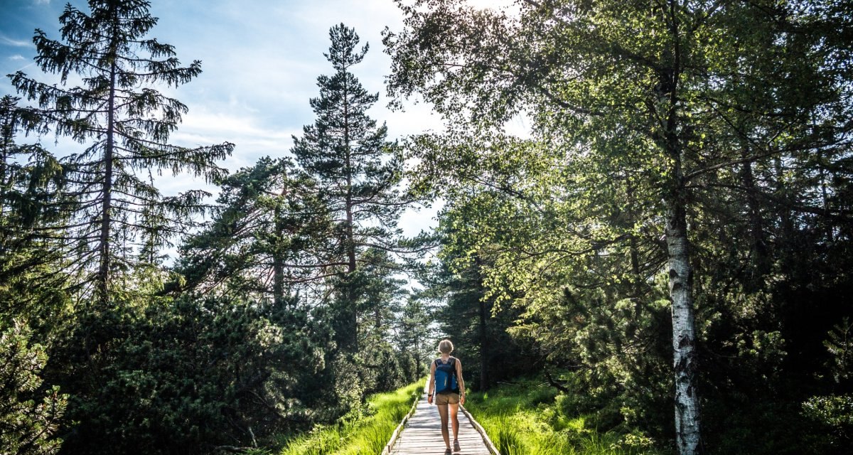 Bohlenweg durchs Wildseemoor, &copy; N&ouml;rdlicher Schwarzwald