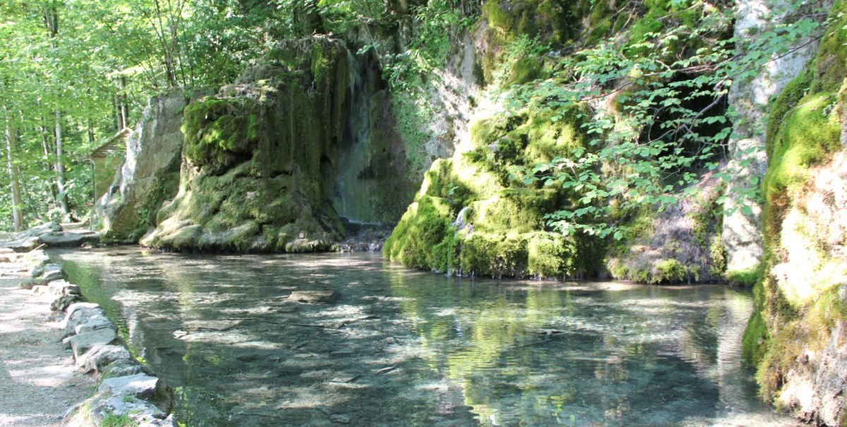 Ein klarer Bach flie&szlig;t durch einen Wald mit moosbewachsenen Felsen. Sonnenlicht f&auml;llt durch die B&auml;ume und beleuchtet das Wasser.