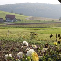 Ausblick auf die Wiesen und Felder, © Bad Urach Tourismus