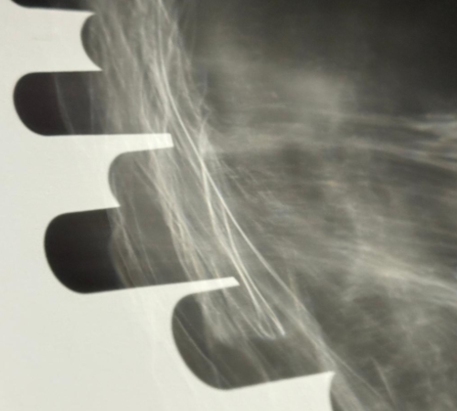 Ausstellung: Expeditionem Vitrum, © Kunstzentrum Karlskaserne Ausstellung: Expeditionem Vitrum, © Kunstzentrum Karlskaserne