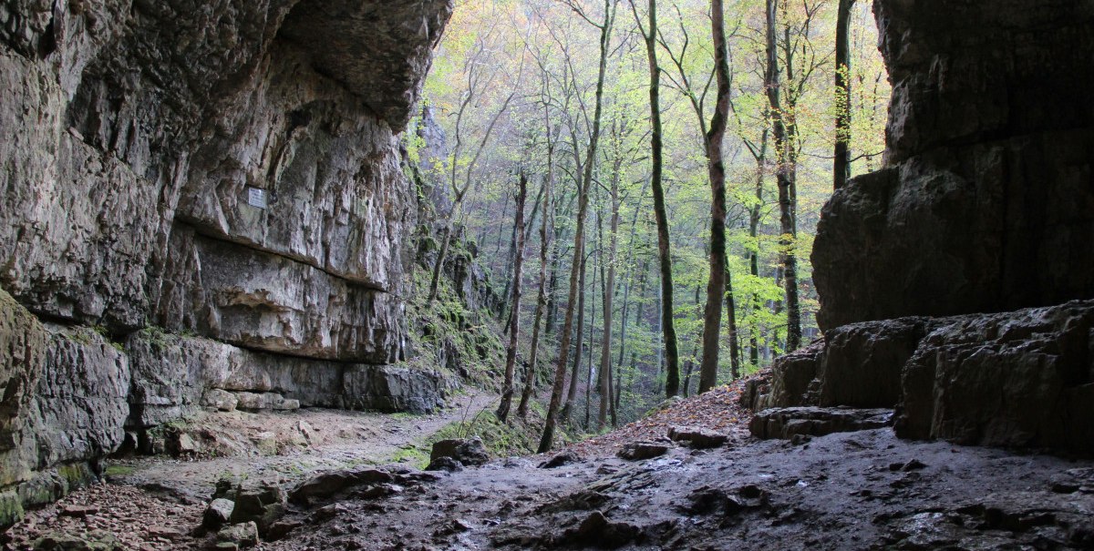 Blick aus einer Höhle auf einen herbstlichen Wald. Die Felsen der Höhle sind rau und der Boden ist uneben. Bäume mit buntem Laub sind sichtbar. Blick aus einer Höhle auf einen herbstlichen Wald. Die Felsen der Höhle sind rau und der Boden ist uneben. Bäume mit buntem Laub sind sichtbar.