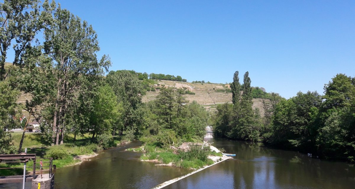Fluss Enz mit Br&uuml;cke im Vordergrund, umgeben von B&auml;umen und Weinbergen unter klarem, blauem Himmel bei Rosswag., &copy; Land der 1000 H&uuml;gel - Kraichgau-Stromberg