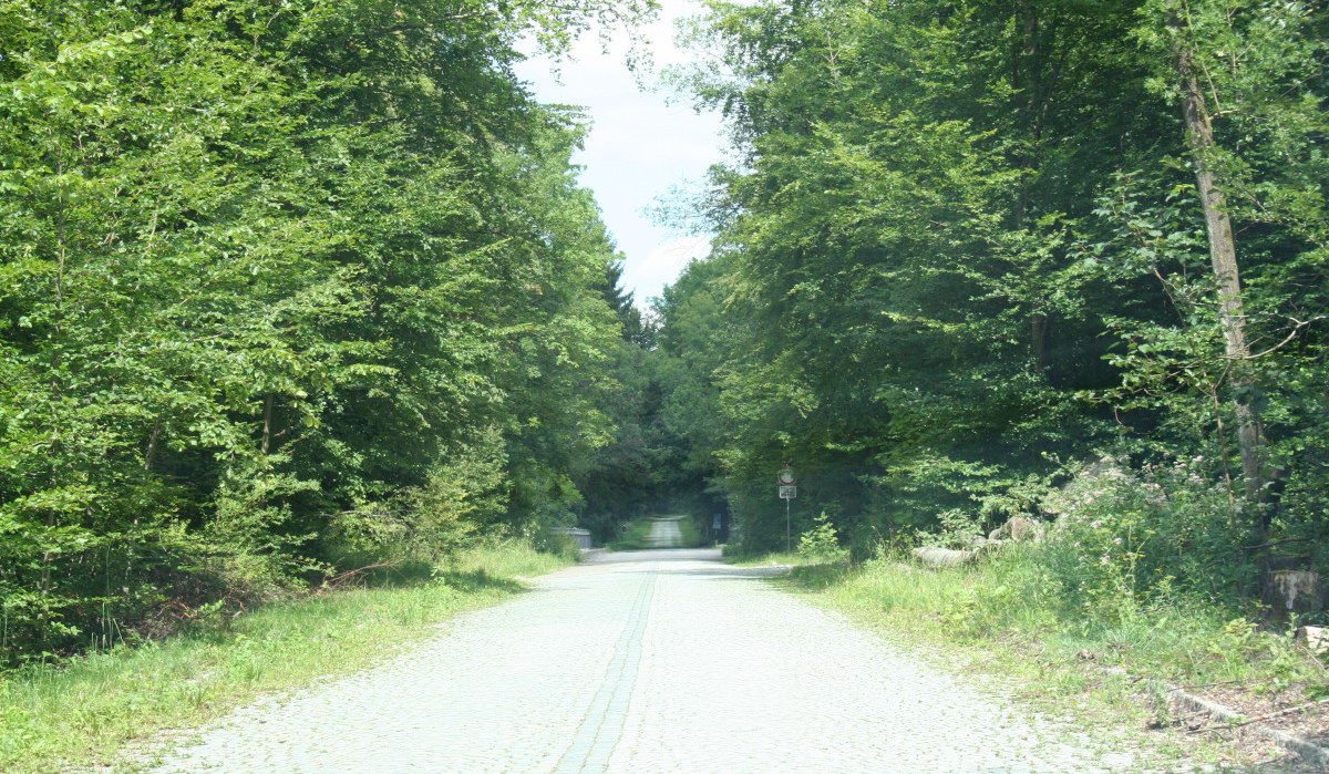 Ein gepflasterter Weg führt durch einen dichten Wald mit üppigem Grün. Die Bäume säumen den Weg und spenden Schatten., © Natur.Nah. Schönbuch & Heckengäu Ein gepflasterter Weg führt durch einen dichten Wald mit üppigem Grün. Die Bäume säumen den Weg und spenden Schatten., © Natur.Nah. Schönbuch & Heckengäu