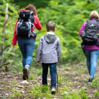 Drei Personen wandern auf einem Waldweg, zwei Erwachsene und ein Kind mit Rucksäcken. Der Weg ist von grüner Vegetation umgeben., © Touristikgemeinschaft Hohenlohe e. V. | Stadt Künzelsau Drei Personen wandern auf einem Waldweg, zwei Erwachsene und ein Kind mit Rucksäcken. Der Weg ist von grüner Vegetation umgeben., © Touristikgemeinschaft Hohenlohe e. V. | Stadt Künzelsau
