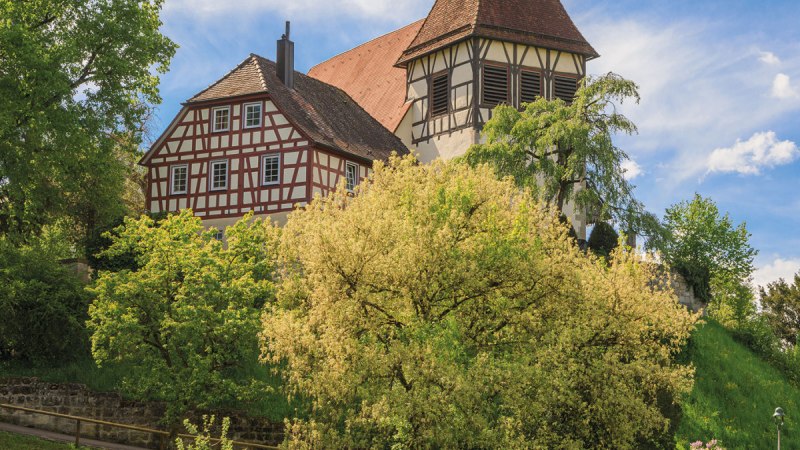 Feenspuren | Murrhardter Feenpfad Premiumstadtwanderweg - Premiumwanderweg mit Start in Murrhardt
