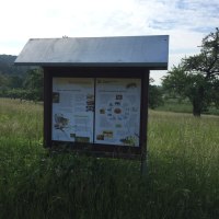 Ein Informationsschild am Bienenlehrpfad steht in einer grünen Wiese, umgeben von Bäumen und Hügeln im Hintergrund., © www.pro-cycl.de