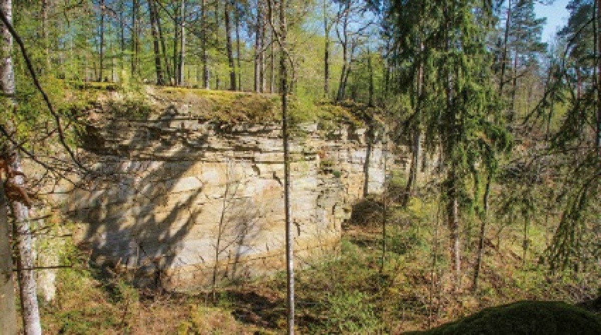Felswand im Wald, umgeben von Bäumen und dichter Vegetation. Sonnenlicht fällt auf die Felsen und den Waldboden., © Natur.Nah. Schönbuch & Heckengäu