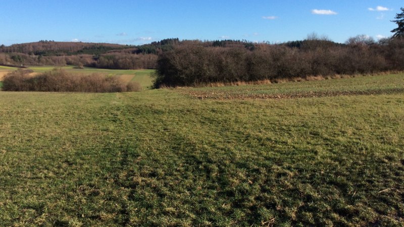 Gr&uuml;ne Wiesen und B&uuml;sche unter klarem, blauem Himmel im Naturschutzgebiet Dickenberg., &copy; Natur.Nah. Sch&ouml;nbuch & Heckeng&auml;u
