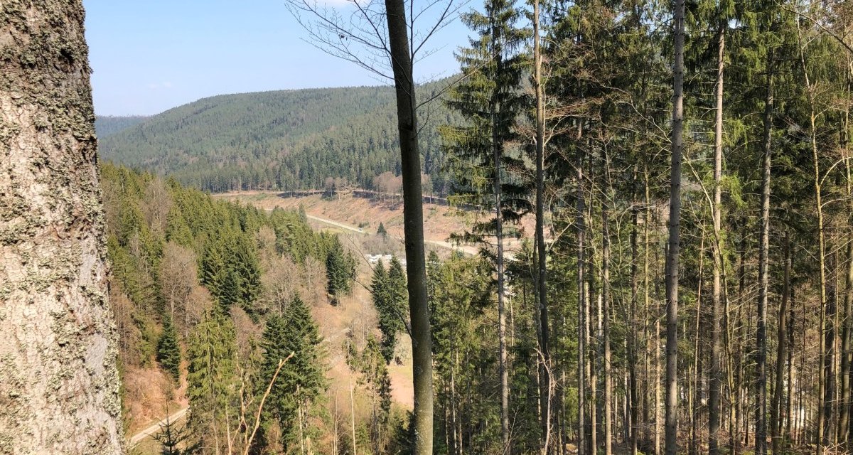 Aussicht auf das Kleinenztal, © Nördlicher Schwarzwald Aussicht auf das Kleinenztal, © Nördlicher Schwarzwald
