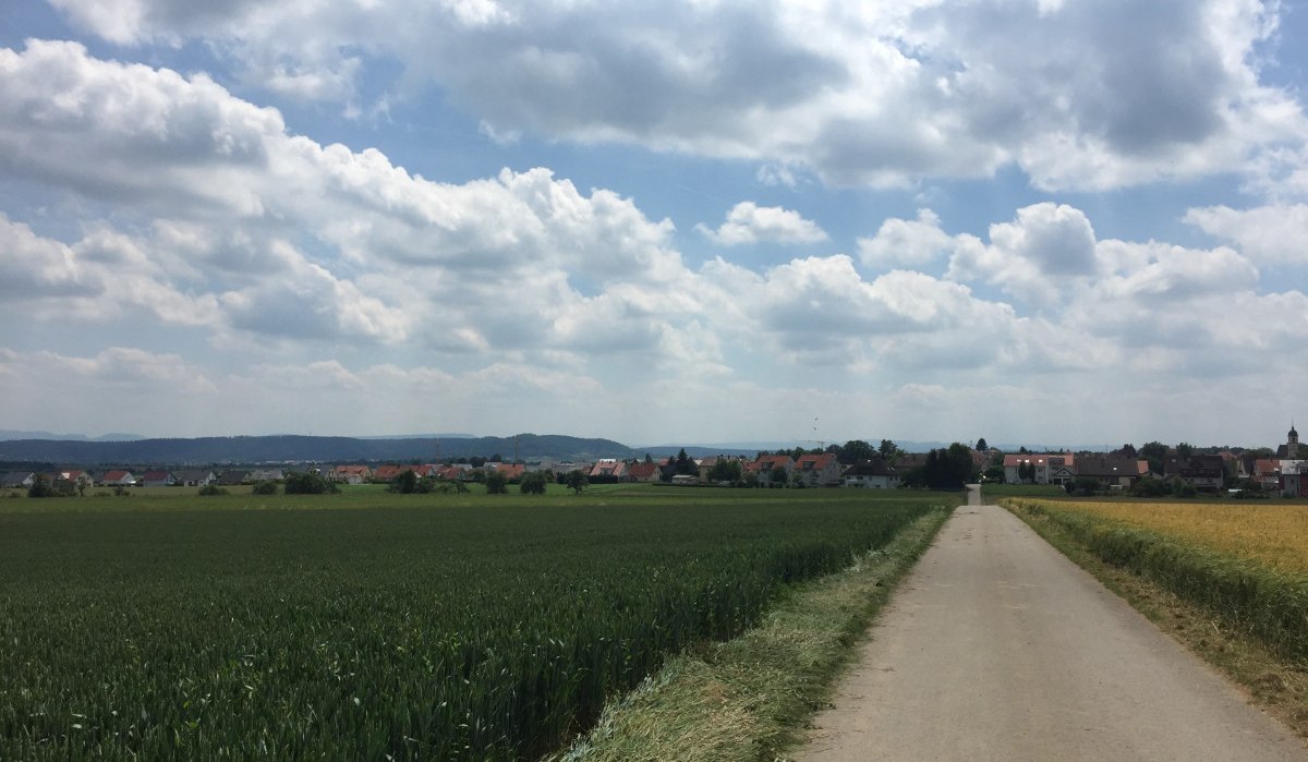 Ein Radweg führt durch grüne Felder zu einem Dorf am Horizont. Der Himmel ist bewölkt., © www.pro-cycl.de