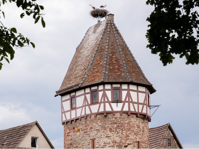 Ein historischer Fachwerkturm mit einem Storchennest auf dem Dach. Zwei St&ouml;rche stehen im Nest. Der Himmel ist bew&ouml;lkt, und B&auml;ume rahmen das Bild ein., &copy; Stadtverwaltung Weil der Stadt
