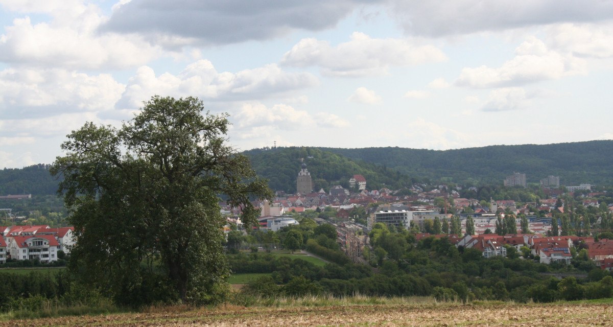 Ein Baum steht auf einem Feld im Vordergrund, dahinter eine Stadt mit roten Dächern und Hügeln im Hintergrund unter bewölktem Himmel., © Natur.Nah. Schönbuch & Heckengäu Ein Baum steht auf einem Feld im Vordergrund, dahinter eine Stadt mit roten Dächern und Hügeln im Hintergrund unter bewölktem Himmel., © Natur.Nah. Schönbuch & Heckengäu