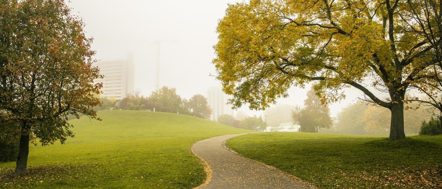Ein nebliger Stadtpark mit einem geschwungenen Weg, umgeben von herbstlichen B&auml;umen. Im Hintergrund ist ein Hochhaus zu sehen., &copy; SMG, Sarah Schmid
