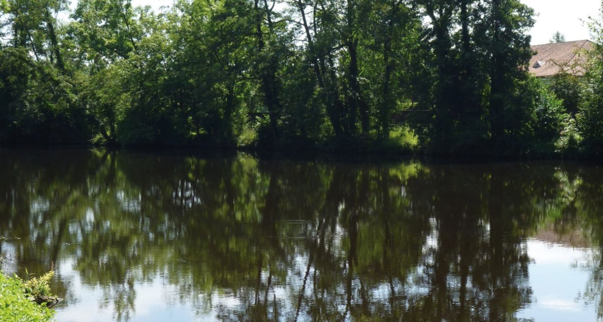 Ein ruhiger Fluss mit gr&uuml;nen B&auml;umen am Ufer, deren Spiegelung im Wasser sichtbar ist. Der Himmel ist klar mit einigen Wolken., &copy; Land der 1000 H&uuml;gel - Kraichgau-Stromberg