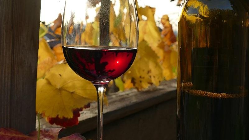 Genussf&uuml;hrung: Der Fluss &ndash; das Land &ndash; die Weinmacher, &copy; Copyright: Daisy Knisel